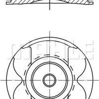 mahle 0040300