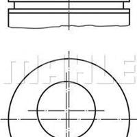 mahle 6810100