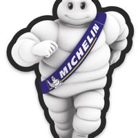 michelin 31890