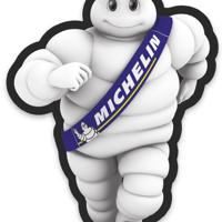 michelin 31906