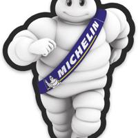 Деталь michelin 31913