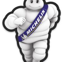 Деталь michelin 31920