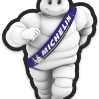 Деталь michelin 31937