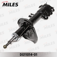 miles dg1101401