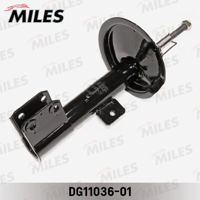 miles dg1103601