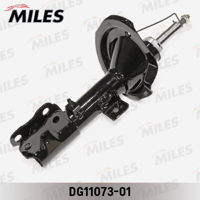 miles dg1107301