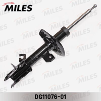 miles dg1107601