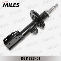 miles dg1132301