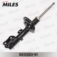 miles dg1220301