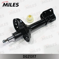 miles dg21317