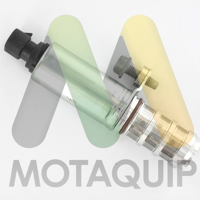 motaquip lvep181