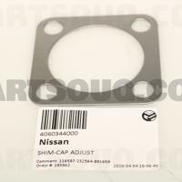 nissan 4060344000