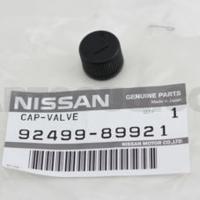 nissan 9249989921