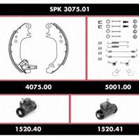 Деталь remsa spk307501