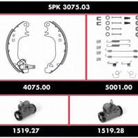 Деталь remsa spk307503