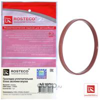 rosteco 20731