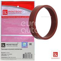 rosteco 20791