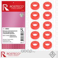 rosteco 20842