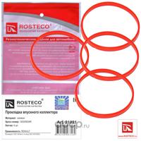 rosteco 21021