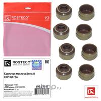 rosteco 21075