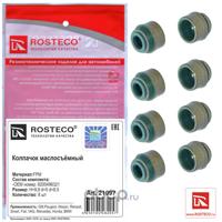 rosteco 21097