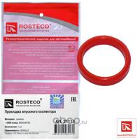 rosteco 21113