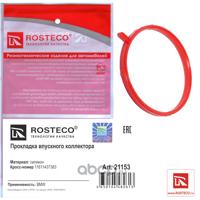 rosteco 21153