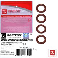 rosteco 21395