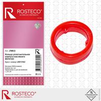 rosteco 21979