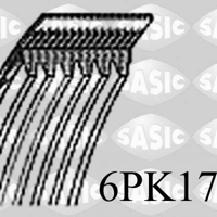 sasic 6pk1750