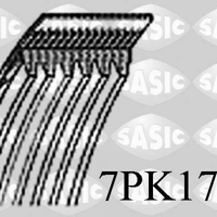 sasic 7pk1790