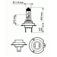 sct 202907