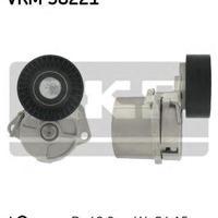 skf vkm38221