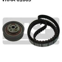 skf vkma01003