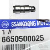 ssangyong 6650500025