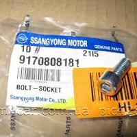 ssangyong 9170808181