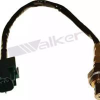 walker 25024437